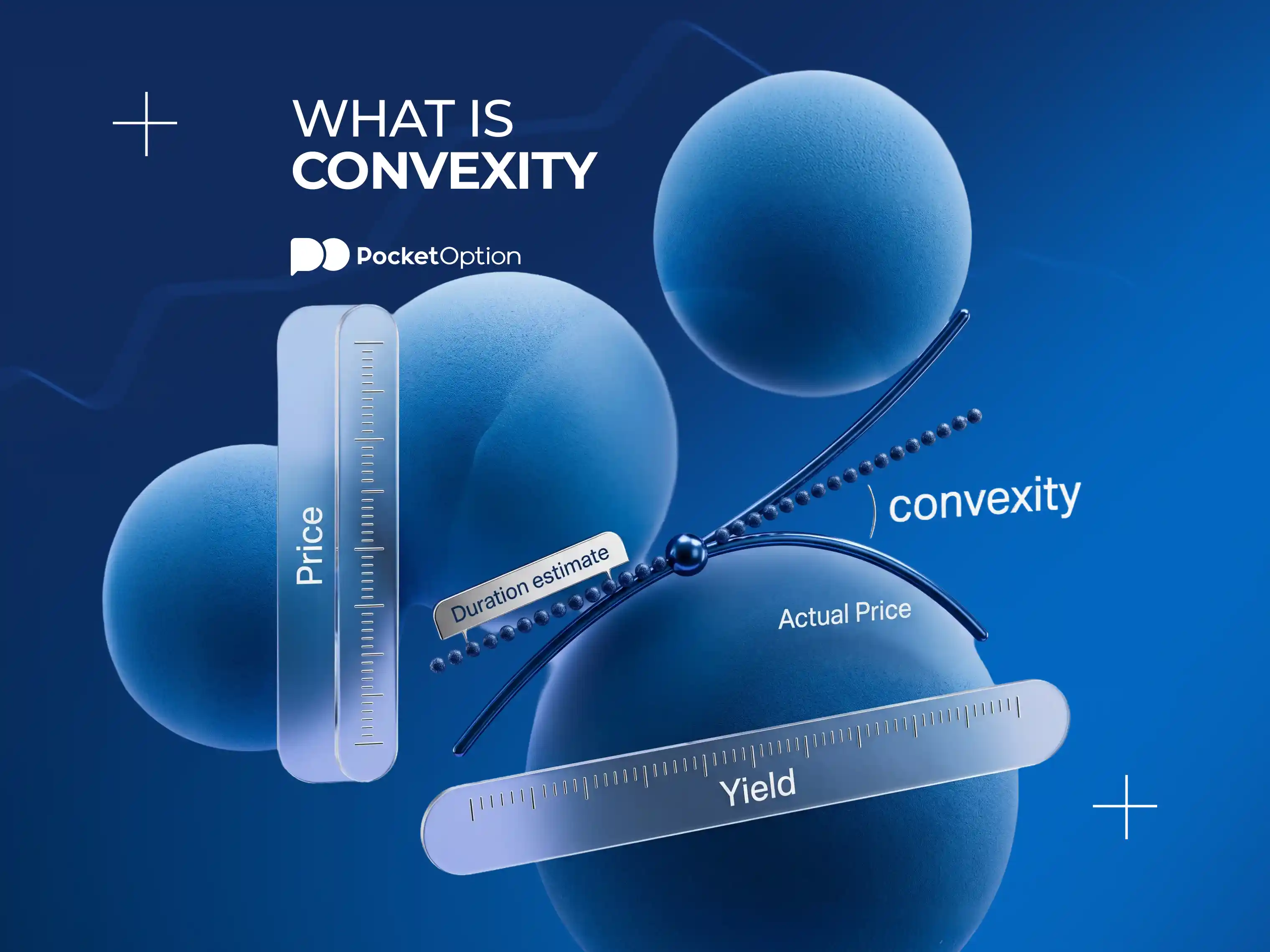 Bond Convexity and Price Sensitivity