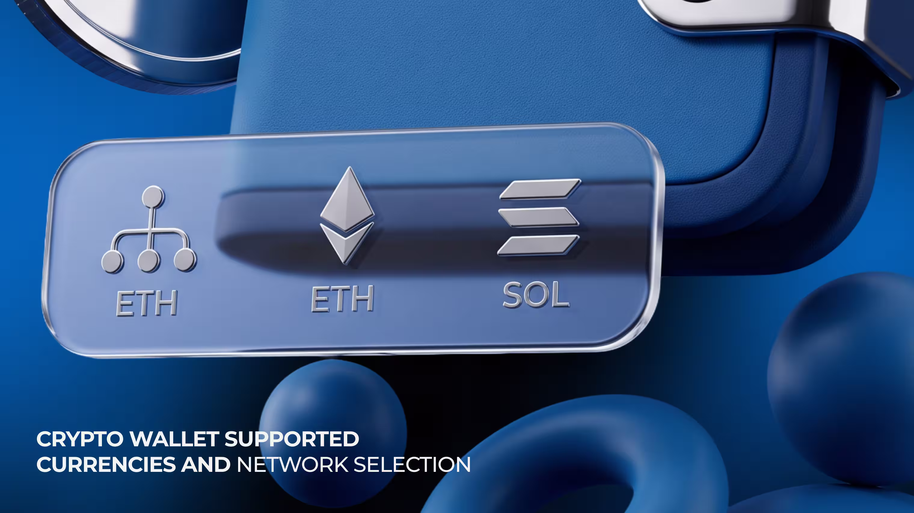 Crypto wallet supported currencies and network selection
