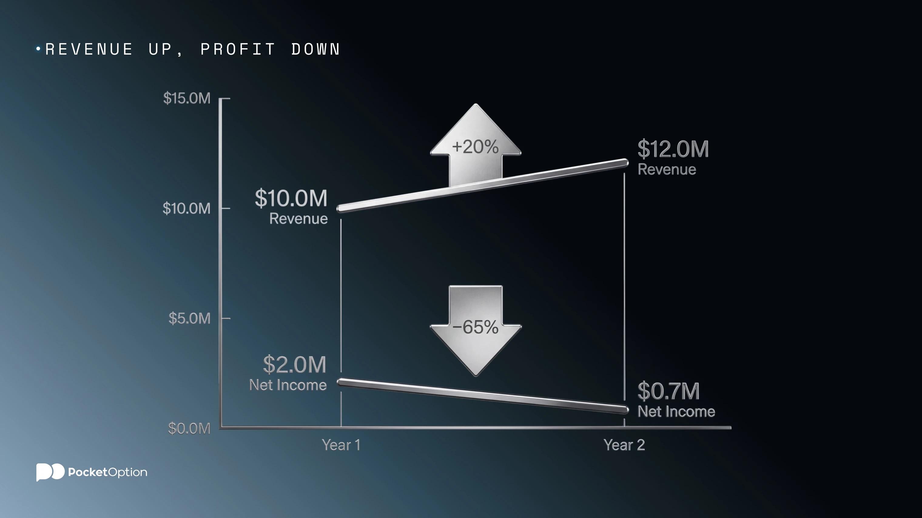 Revenue Up, Profit Down Example