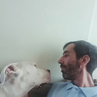 Umut Ulas K.
