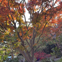 Jennifer Brisayda R.