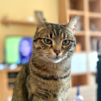 Adriana Del Valle H.